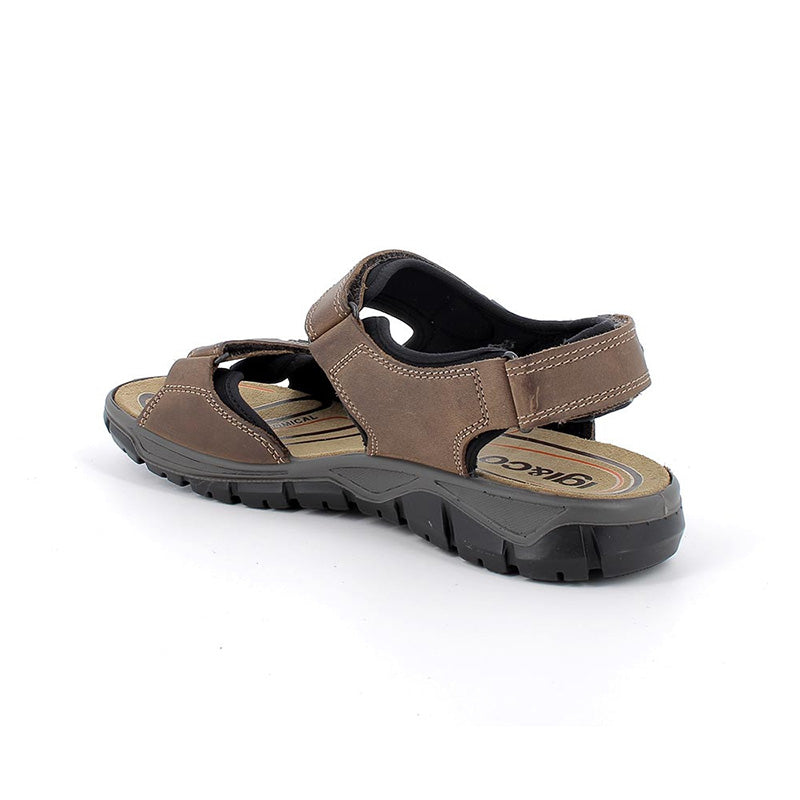 Sandali Igi&Co 5642622 in pelle da uomo fango chiaro